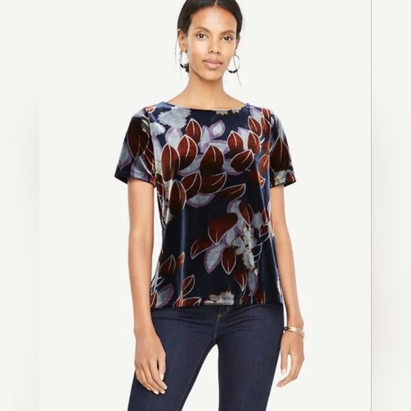 Ann Taylor Tops - Ann Taylor Petite Small Velvet Tee